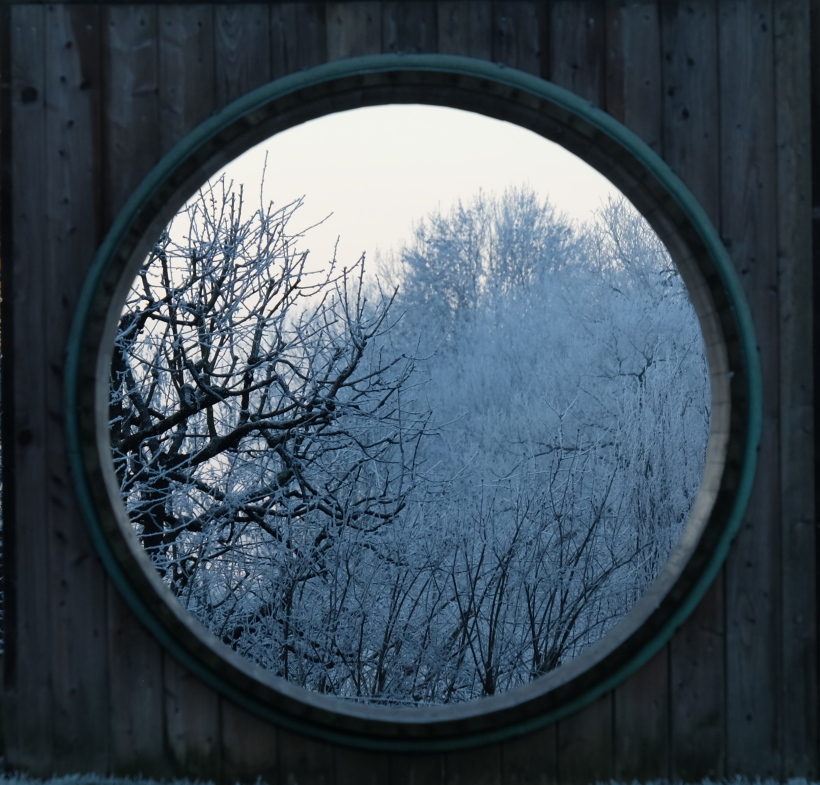 Frosty trees seen through a large hamster wheel.